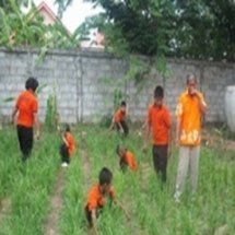 คุณธรรมจากนาข้าว