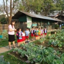 พืชผักรักษ์ไทย