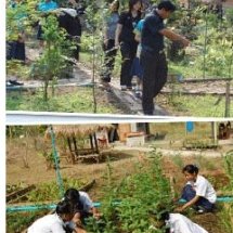 ฐานสมุนไพร