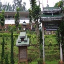 กิจกรรมฟาร์มสัตว์