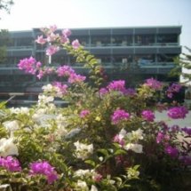 รั้วเฟื่องฟ้ากับปรัชญาของเศรษฐกิจพอเพียง