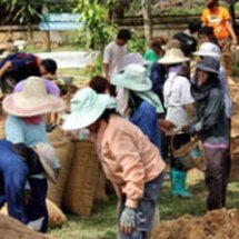 เตาเผาขยะชุมชนลดมลภาวะ