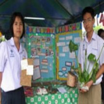 โครงงาน M board แผ่นอัดจากธรรมชาติ