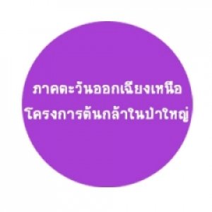 ภาคตะวันออกเฉียงเหนือ (โครงการต้นกล้าในป่าใหญ่)