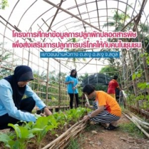 ศึกษาข้อมูลการปลูกผักปลอดสารพิษเพื่อส่งเสริมการปลูก การบริโภคให้กับคนในชุมชน (กลุ่มเยาวชนบ้านหัวทาง)