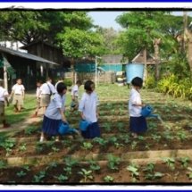 สับ ซอย หมักเพิ่มคุณค่า