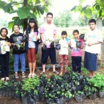 เพาะกล้าต้นไม้ป่า