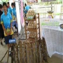 ฐานเห็ดนางฟ้า