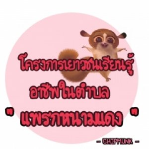 โครงการเยาวชนเรียนรู้อาชีพตำบลแพรกหนามแดง