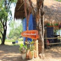 ฐานการเรียนรู้ การเพาะเห็ดนางฟ้า