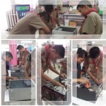 ฐานกิจกรรมการเรียนรู้