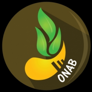 ONAB (Oil Natural ABsorbent)