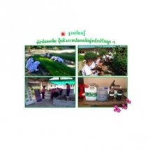 ผักปลอดพิษ ปุ๋ยชีวภาพปลอดภัยสู่หลักปรัชญาฯ