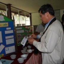 กรวยยอดตัด อัดขี้เลื่อยเป็นจอกยาง สร้างชิ้นงาน บ้านพอเพียง 