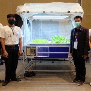 Aeroponics Smart Planting