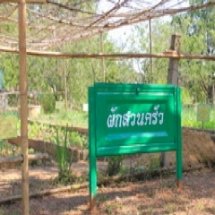 ฐานการเรียนรู้ การปลูกผักสวนครัว