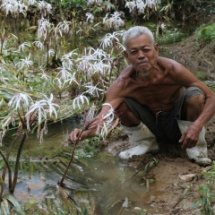 จัดอบรมให้ความรู้