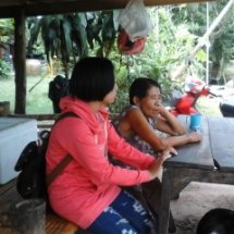 กิจกรรมที่ 2 เก็บข้อมูล 