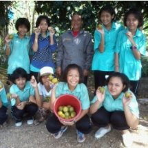 การเก็บตัวอย่างดินครั้งแรก