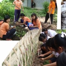 ดินดีวิถีพอเพียง