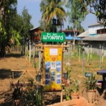 ฐานการเรียนรู้ การปลูกแก้วมังกร