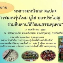 มหกรรมหนังกลางแปลง 2560