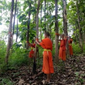 โครงการอนุรักษ์การบวชป่า