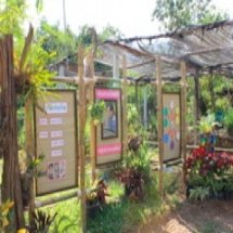 ฐานการเรียนรู้ การเลี้ยงปลาดุกบิ๊กอุย