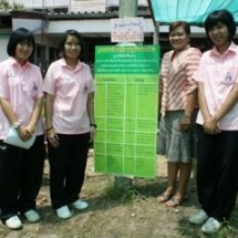 ผักพื้นบ้าน