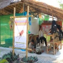 ฐานการเรียนรู้ การเลี้ยงจิ้งหรีด