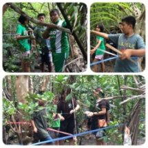 สรุปผลโครงการปลูกต้นกล้าพัฒนาป่าชายเลน