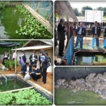 กิจกรรมขับเคลื่อนสู่ชุมชน