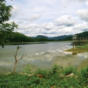 น้ำต่อชีวิต