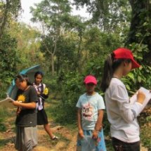 สํารวจป่าชุมชน