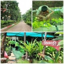 กิจกรรม คุณธรรมจากเรือนเพาะชำ