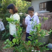 ลงมือเก็บข้อมูล