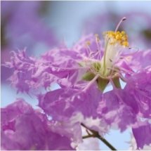 โครงการค่ายวิชาการ