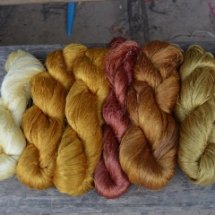 ภารกิจพิชิตสีธรรมชาติ  (กอนกวยโซดละเว