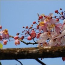 โครงการธนาคารพอเพียง