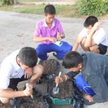 กิจกรรมการปรับทัศนียภาพด้วยผักตะกร้า