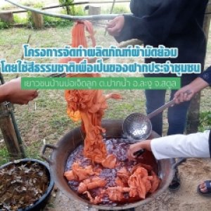 ศึกษาการใช้ประโยชน์จากสีธรรมชาติเพื่อนำมาทำผลิตภัณฑ์ผ้ามัดย้อมของฝากประจำชุมชน (กลุ่มเยาวชนบ้านบ่อเจ็ดลูก)