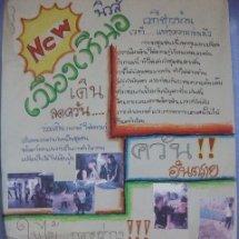 สรุปบทเรียนการทำโครงการ  หมอกควัน  หมันตภัยเงียบ   สภาเด็กและเยาวชนตำบลบ้านดู่