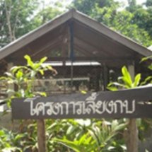 เกษตรเพื่ออาหารกลางวัน