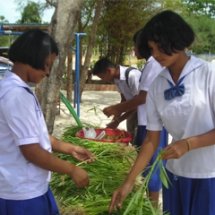 ประชุมวางแผนการทำโครงการ