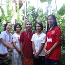 กิจกรรมที่ 4 ศึกษาข้อมูล (สมุนไพรหมาน้อย)