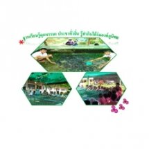 ฐานการเรียนรู้ดุกหรรษา ประชาทั่วถิ่น รู้ทำกินใต้ร่มองค์ภูมิพล