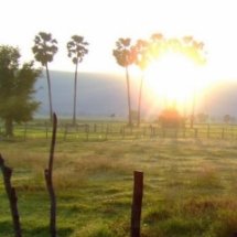 รุ่น 2 : ครั้งที่ 1 : กำหนดการปฐมนิเทศนักศึกษาหลักสูตร “ นักถักทอชุมชน : เพื่อพัฒนาเด็ก เยาวชนและครอบครัว” 