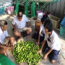 ฐานการเรียนรู้ตามหลักปรัชญาของเศรษฐกิจพอเพียง