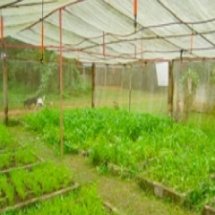 ฐานการปลูกพืชผักสวนครัว