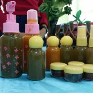 โครงการสมุนไพรพิชิตกลิ่น